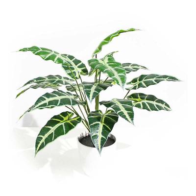 China Hawaii kwai small artificial plant trees decoration japan fatsia plant bonsai for sale