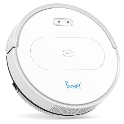 China 2021 Smart Home Version Intelligent Cleaning Automatic Clean Kids Sweeping Robot for sale