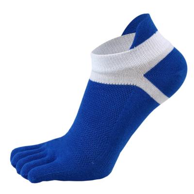 China High Quality Lady Five Toe Socks Christmas Popular Design Fashion Christmas Cheap Breathable for sale