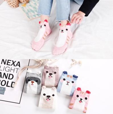 China New Anti-Fault Spring Straight Lady's Socks Summer Adult Cute Cartoon Women Socks for sale