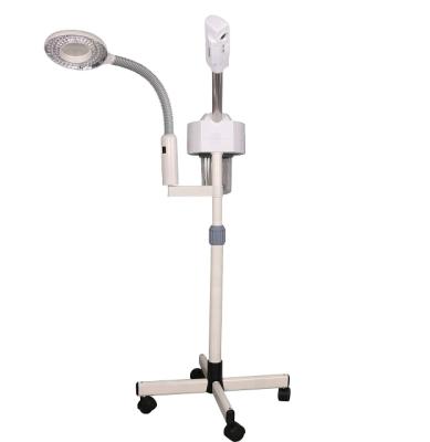 China Professional Salon Equipment DT-318M Beauty Lamp DEEP CLEANSING Nano Ionic Enlarging Facial Steamer for sale