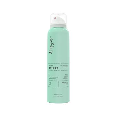 China Best Nourishing High Quality Conditioner For Dry Scalp Best Spray Aluminum Bottle Shampoo for sale