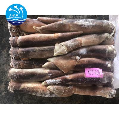 China China Supplier NATURE Hot Sale Seafood Squid Frozen Fish for sale