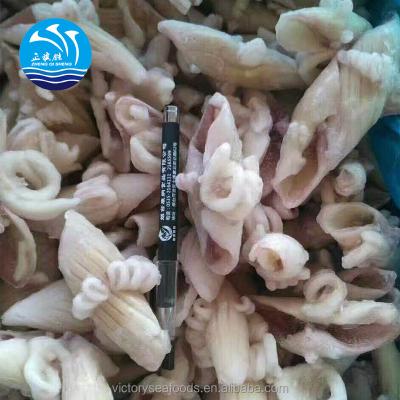 China Low-CARB Frozen Squid Wing / Ear for sale