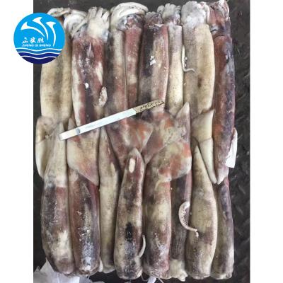 China Argentina Gluten Free Price Illex Frozen Giant Squid for sale