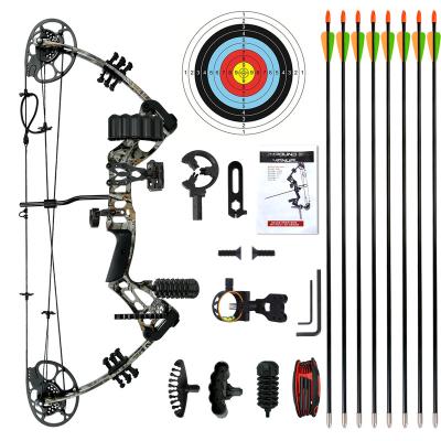 China Hot Selling China Alloy Appearance Metal Alloy Archery Compound Adult Customizable Bow Outdoor Shooting Hunting Set for sale