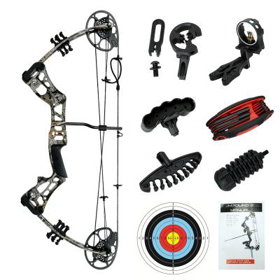 China Hot Selling China Alloy Appearance Metal Alloy Archery Compound Adult Customizable Bow Outdoor Shooting Hunting Set for sale