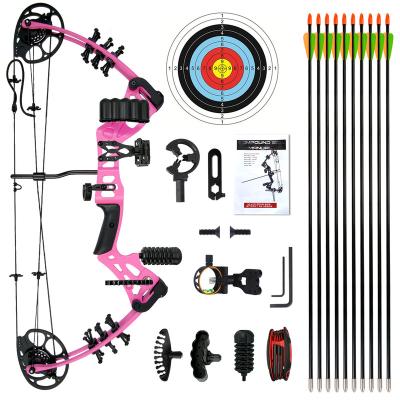 China High Quality Customizable Compound Professional Archery Youth Appearance China Archery Shooting Outdoor Hunting Shooting Set for sale