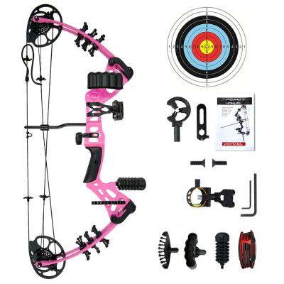 China High Quality Customizable Compound Professional Archery Youth Appearance China Archery Shooting Outdoor Hunting Shooting Set for sale