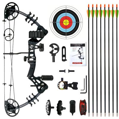 China High Quality Customizable Compound Professional Archery Youth Appearance China Archery Shooting Outdoor Hunting Shooting Set for sale