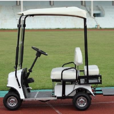 China 2 seater electric golf car  for sale