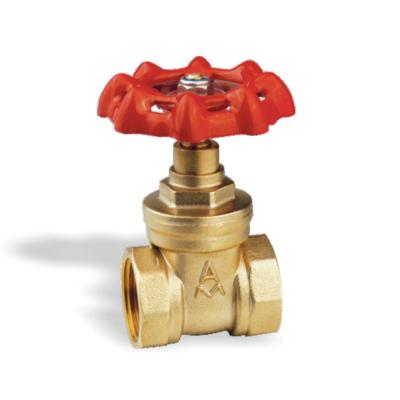 China Portable Water Electronic Durable Spiral Sluice Control Brass Conduits NPT BSP Brass Gate Valve for sale