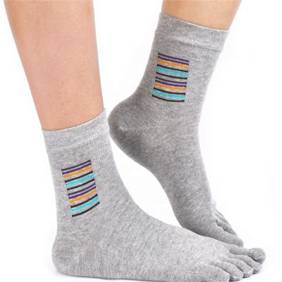 China JL273- Custom Breathable QUICK DRY Cotton Men's Fashion Five-Toe Dress Socks Comfortable Unisex Business Crew Socks for sale