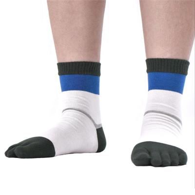 China JL277- Cotton Men's QUICK DRY Custom Five-Toe Dress Knocks Five Fingers Holiday Crew Comfy Socks for sale