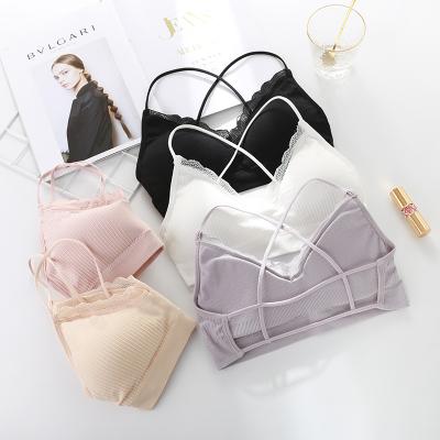 China Padded Sustainable Wire Lift Up Bra Wire Lace Harness Bralette Beauty Back Comfort Strap Free Bra for sale