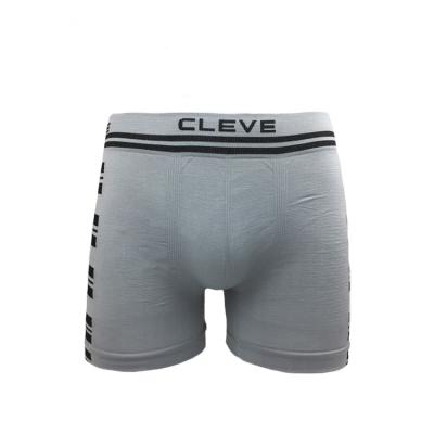 China Wholesale New Style Seamless Nylon Shorts Men Boxer Antibacterial Briefs Custom Made Underwear for sale