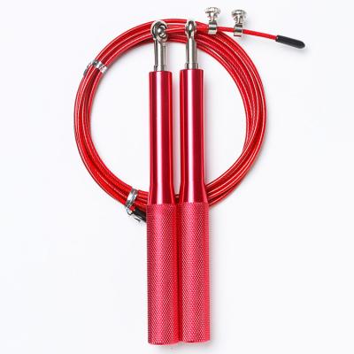 China High Quality Plastic Chinese Made Custom Logo Colors Wholesale Free Sample Steel Wire Jump Rope for sale