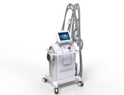 China 40KHz Cavitation Cryolipolysis Slimming Machine  For Non Invasive Body Contouring for sale