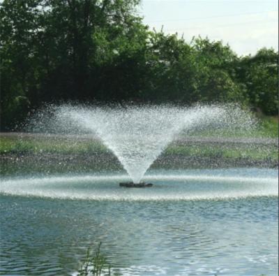 China Modern 2m Garden Pond Water Features Floating Dancing Water Fountain for sale