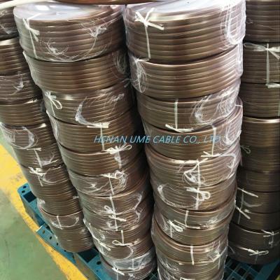 China BVVB E Twin Earth Electric Cable Solid/Stranded Copper Twin en Earth Sheath Cable Te koop