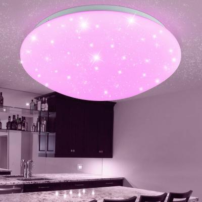 China Modern Nordic LED Ceiling Light RGB Color-Changing New Remote Control Bedroom Round Starry Light Sky Bread Atmosphere LED Ceiling Lamp for sale