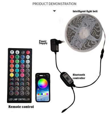 China Hot Selling LANDSCAPE Christmas Party LED Light Strip With Remote Smart RGB Light Strip for sale