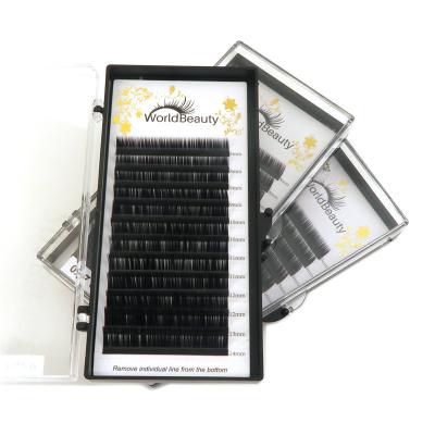 China Whorld Natural Beauty Long Vendor Auto Fan Pre Made Fans Lash Eyelash Extensions Kit for sale