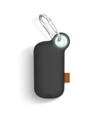 China Other Popular Products 2020 Mini Power Bank 5000 mAh Portable Key Chain Power Bank for sale