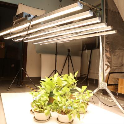 China Cost Effective China Plant OEM Panda Grow Efficacy Up To 3 Umol/J 840 Watt Led Grow Light Strips For Plants for sale