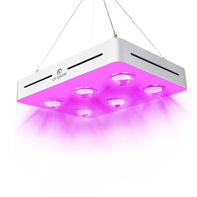 China Seed starting professional designed high umol greenhouse plant driverless cob led grow lights for sale