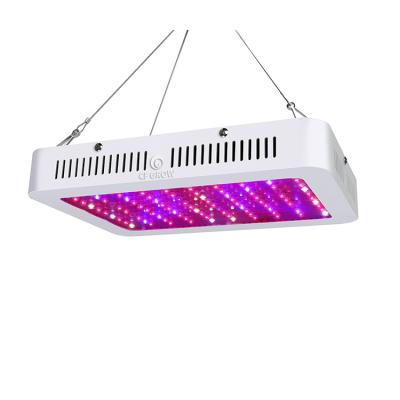 China Plant Grow CF GROW Full Spectrum 1000W Growing Lamp LED Grow Light For Indoor Plant Veg Flower Lighting for sale