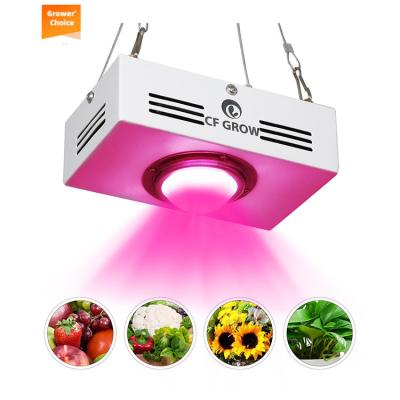 China Full VEG Indoor Greenhouse Growlight Red Cob/White Hydroponic 100W Mini Led Grow Light Lamp Spectrum 1pcs Epistar for sale