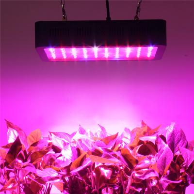 China Seed Starting Good Quality Greenhouse Full Spectrum 1000W Led For Growing Light for sale