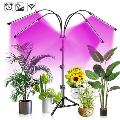 China Seed Starting Timer 3/9/12H 80W Adjustable Tripod Stand Grow Lamp Floor Light Plant Lights for Indoor Plants for sale