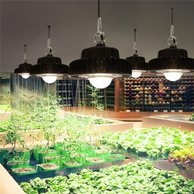 China Seed Starting Greenhouse Factory Price Used Grow Lights Sale High Power 100W Cxb3590 Full Spectrum LED Grow Lights for sale