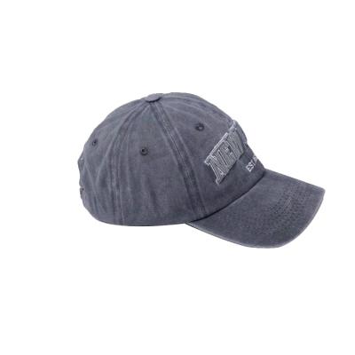 China JOINT Manufacturer 6 Panel Baseball Plain Professional Hat Washed Cotton Hats for sale