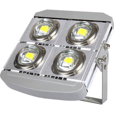 China Sports Stadiums Waterproof Outdoor Module 200W 300W 400W COB Flood Lights For Sports Stadium Bay Tunnel for sale