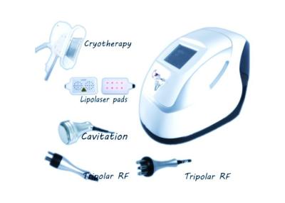 China Het vermageringsdieet van de de cavitatieradiofrequentie van Cryolipolaser, het Vette Branden die, gewicht machine verminderen Te koop