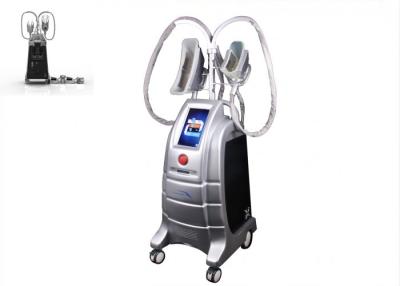 China Stationary Cryotherapy Fat Freeze Machine for eliminate fat cells , losing weight for sale