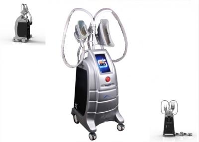 China Stationaire het Vermageringsdieetmachine van Cryolipolysis van het Salongebruik Professionele voor het Lichaam van het Gewichtsverlies het Vormen Te koop