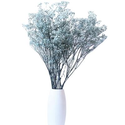 China High quality natural dry baby's breath flowers home decoration mini preserved driy white gypsophila baby's breath flower for sale