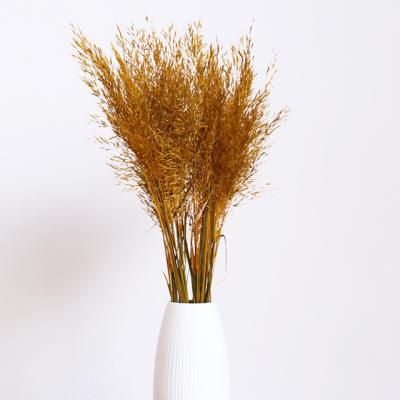 China Can Last For 3-5 Years Natural Preserved Dried Quack Grass Flower For Table Centerpieces Dried Flowers Decoration for sale