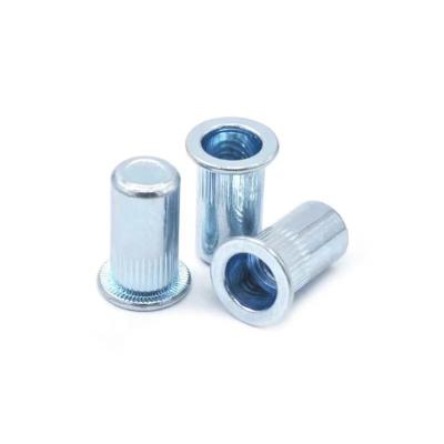 China Heavy industry factory direct high quality galvanized rivet nuts join sheet material in multiple specifications with standardization for sale