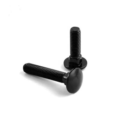 China Factory direct standardization high quality steel carriage bolt with multiple characteristics black oxide blackening treatment for sale