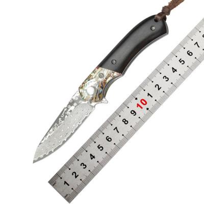 China Easy Carry Damascus Hunting Knife Self Defense Color Shell Handle Camping Knife for sale