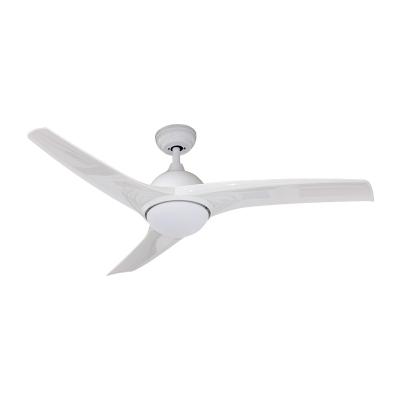 China Lower Noise OEM Price In Pakistan Universal Ceiling Fan With Light Weight And Remote Control for sale