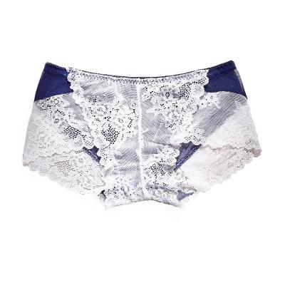 China Hot Sale 15 Color Antibacterial Mesh Lace Plus Size Underwear Fashion Japanese Girl Women Sexy Transparent Briefs for sale