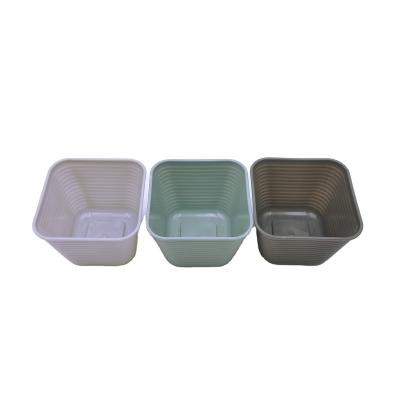 China Viable Classic Rectangle Organizer Bin Container Plastic Clear Tool Storage Box for sale