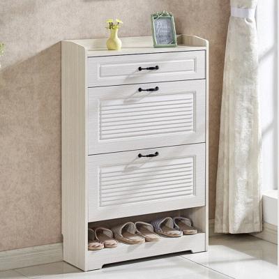 China Hangzhou Modern Adjustable Fame Hot Selling White Paint Shoe Cabinet (Others) Furniture for sale