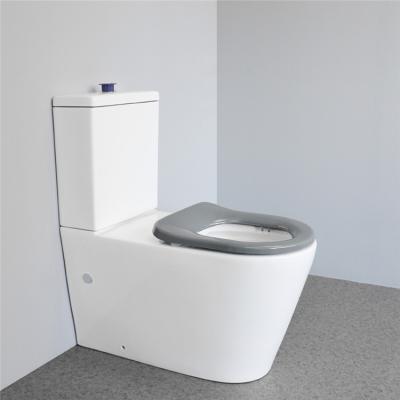 China Double-Flow New Style Disabled Standard Braille Touch Raised Height Button Rimless Two Piece Ceramic Toilet for sale